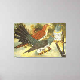 Kuckucksumpfe mit moderner Art Canvas Print Leinwanddruck
