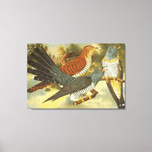 Kuckucksvögel mit moderner Kunstleinwanddruck Leinwanddruck