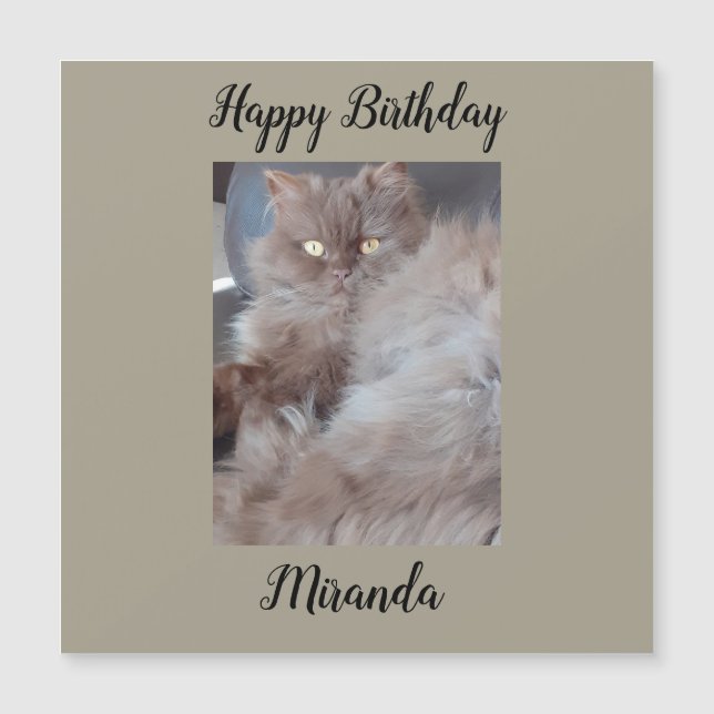 Kudlykerkatze Magnetic Birthday Card Magnetkarte (Vorderseite)