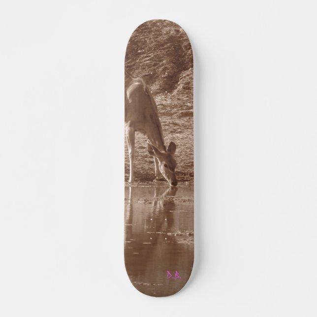 Kudu am Wasser Skateboard (Vorne)