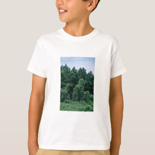 Kudzu/überwucherter Wald T-Shirt