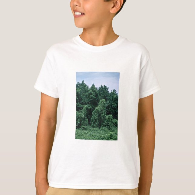 Kudzu/überwucherter Wald T-Shirt (Vorderseite)