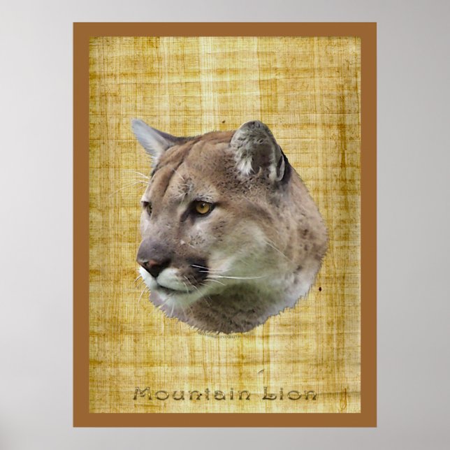 KUGAR, MOUNTAIN LION, PUMA Poster (Vorne)