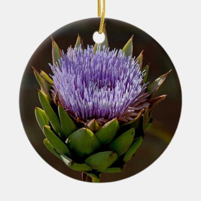 Kugel-Artischocke, Cynara Cardunculus, in der Keramik Ornament (Vorne)