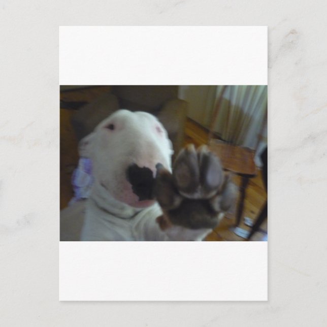 Kugel Postkarte (Vorderseite)