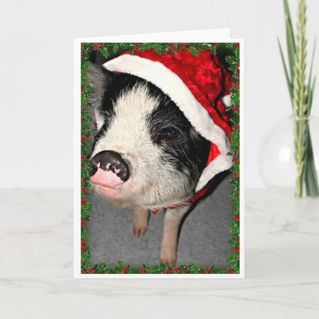 Kugelbauch-Schwein-Weihnachten Feiertagskarte (Vorderseite)
