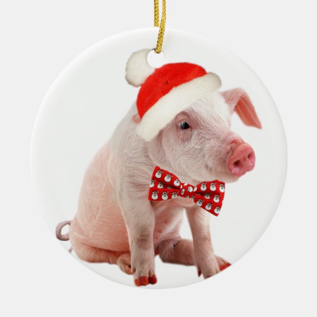 Kugelbauch-Schwein-Weihnachtsverzierung Keramikornament (Vorne)