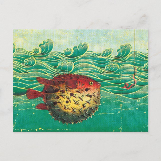 Kugelfisch Postkarte (Vorderseite)