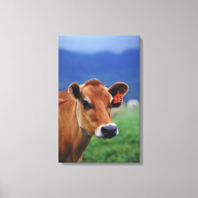 Kuh 3 leinwanddruck (Vorderseite)