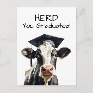 Kuh-Abschlusskarte 'Herd You Graduated' Lustig Postkarte