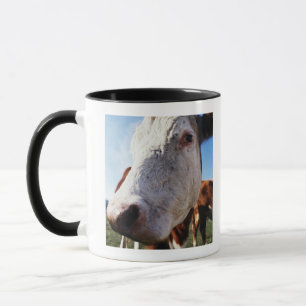 Kuh auf dem Gebiet, Nahaufnahme Tasse