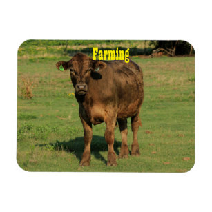 Kuh auf grüner Weide Magnet