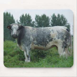 Kuh-belgisches Blau Mousepad
