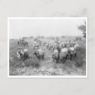 Kuh Boy Mount Postkarte