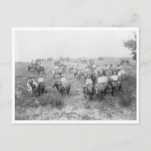 Kuh Boy Mount Postkarte (Vorderseite)