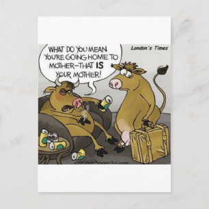 Kuh Bull Scheidung Funny Cartoon Geschenke & T-Shi Postkarte