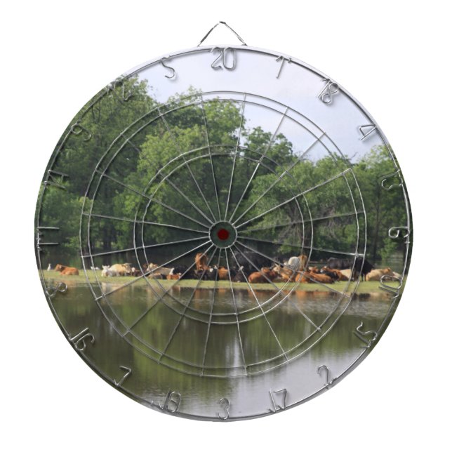 Kuh Dartboard Dartscheibe (vorne)