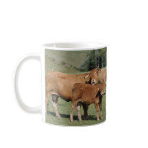 Kuh, die ihr Kalb leckt