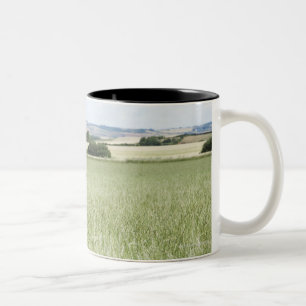 Kuh, die in der Wiese weiden lässt Zweifarbige Tasse
