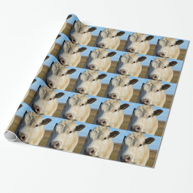Kuh herauf nahes geschenkpapier (Ungerollt)