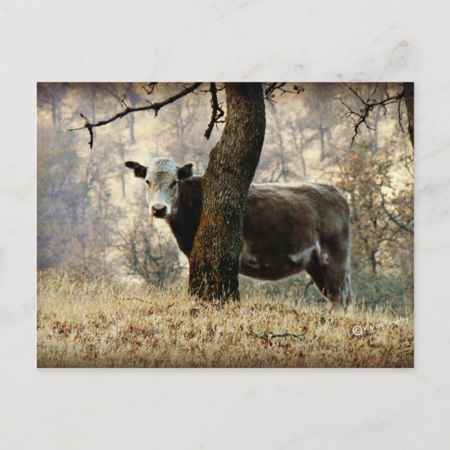 Kuh hinter Baum Postkarte (Vorderseite)