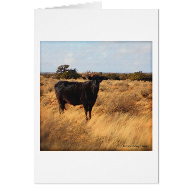 Kuh im Bereich (Vorne)