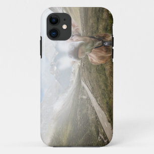 Kuh im Tal - iPhone 5 Fall 11 Hülle