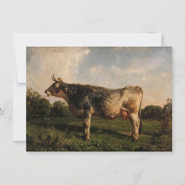 Kuh in einem Feld (Zuchttier) (von Filippo Palizzi Karte (Vorderseite)