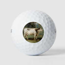 Kuh in einer ländlichen Landschaft (Zuchttier) Golfball