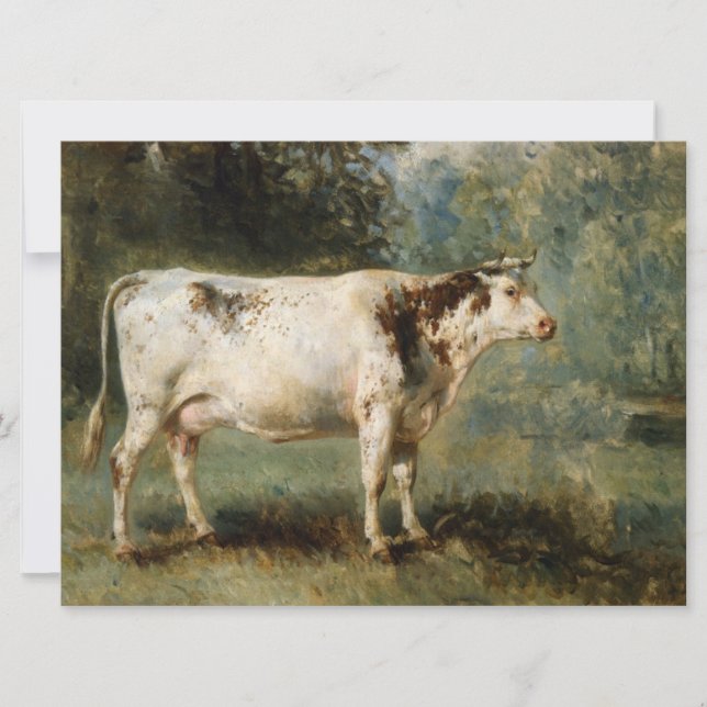 Kuh in einer ländlichen Landschaft (Zuchttier) Karte (Vorderseite)