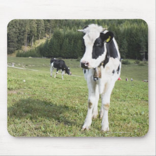 Kuh in einer Wiese, Fie Allo Sciliar, Alt die Mousepad