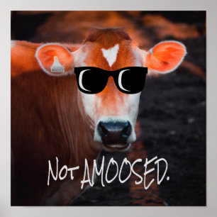 Kuh in Sonnenbrille nicht a MOOsed Niedlich Funny Poster