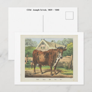 KUH Joseph Scholz, 1829 - 1880 Postkarte