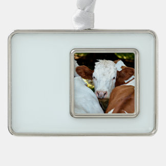 Kuh mit einem Ring in den Nasenlöchern Rahmen-Ornament Silber