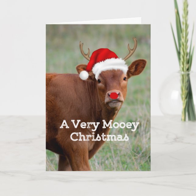 Kuh Mooey Christmas Feiertagskarte (Vorderseite)