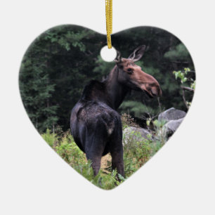 Kuh Moose Keramikornament