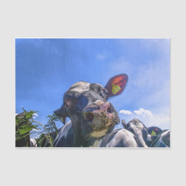 Kuh Nah-up, Teil 7: Das "Ich höre!" Ausgabe Seidenpapier (Vorderseite)