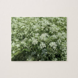 Kuh Parsley Weiße Blume Natur Puzzle