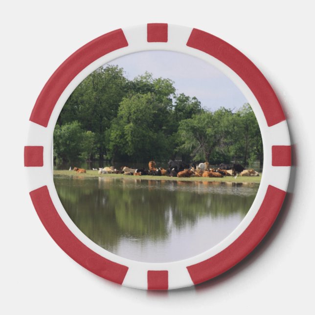 Kuh Pokerchips (Vorderseite)