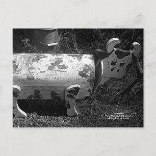 Kuh-Postfach Postkarte