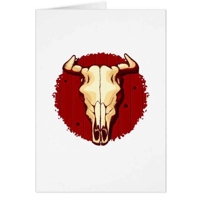 Kuh-Schädel (Vorne)