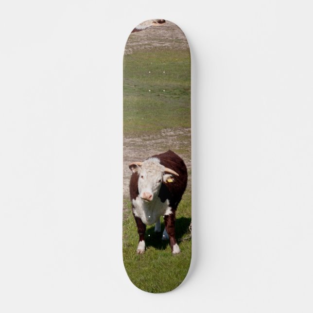 Kuh-Skateboard Skateboard (Vorne)