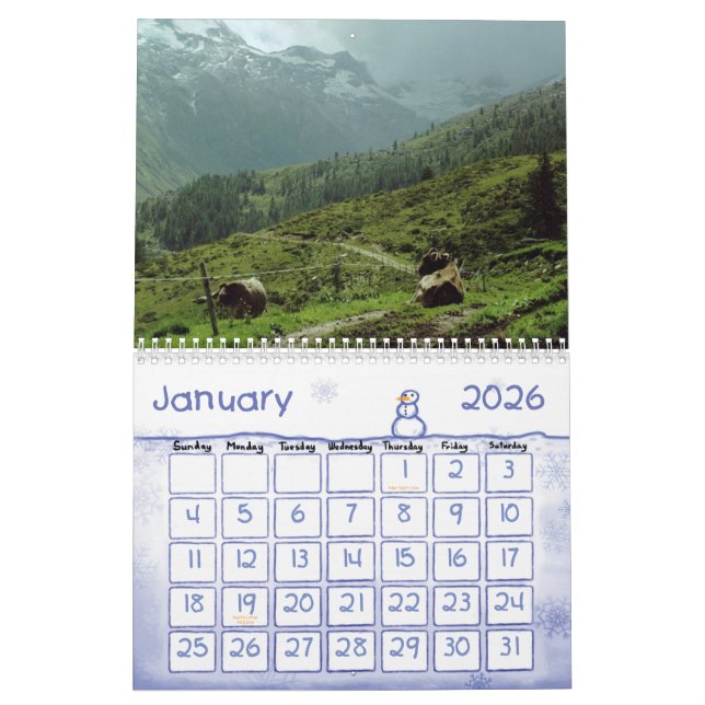 KUH-SPASS-ABDECKUNGS-KALENDER KALENDER (Jan 2026)