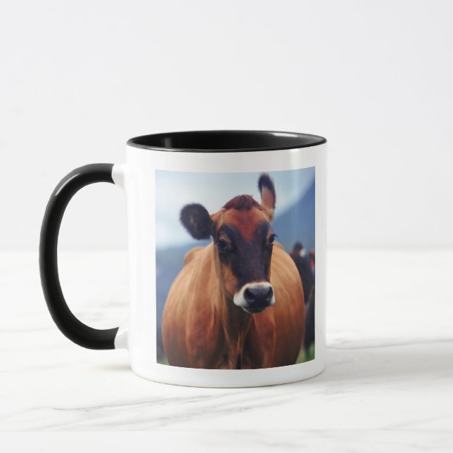 Kuh Tasse (Links)