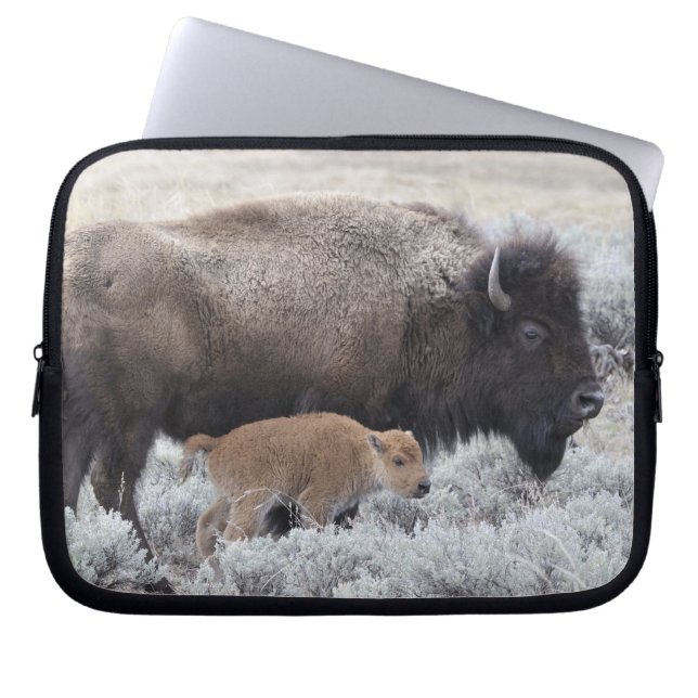 Kuh und Kalb Bison, Gelbstein Laptopschutzhülle (Vorderseite)