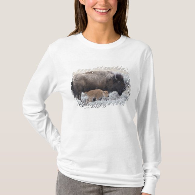 Kuh und Kalb Bison, Gelbstein T-Shirt (Vorderseite)