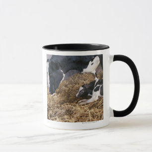 Kuh und Kalb im Heu Tasse