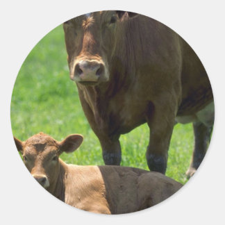 Kuh und Kalb Runder Aufkleber
