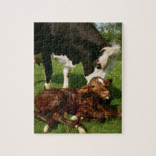 Kuh und neugeborenes Kalb Puzzle
