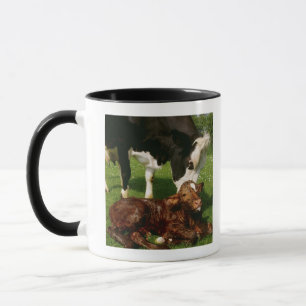 Kuh und neugeborenes Kalb Tasse